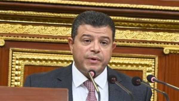 النائب محمد سليمان