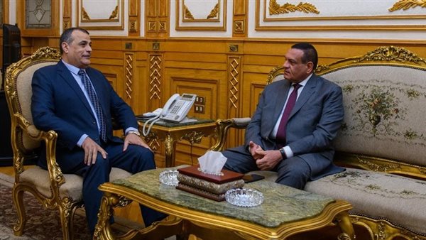 جانب من اللقاء