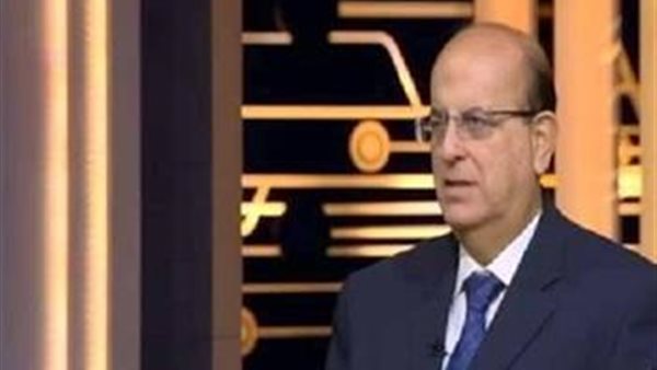  الدكتور محسن الألفي