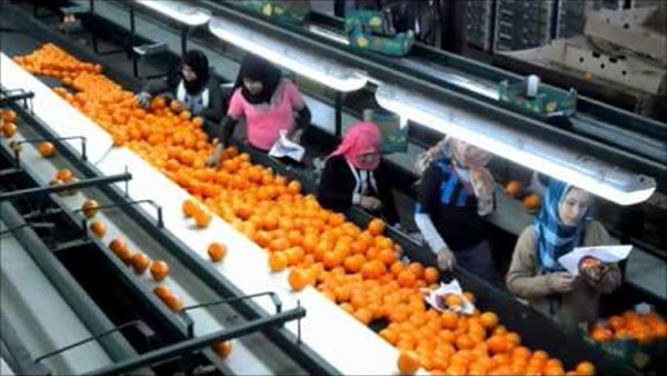 صورة ارشيفية