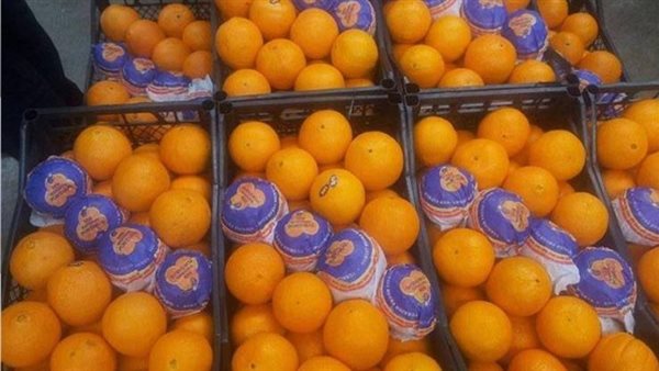 صورة ارشيفية