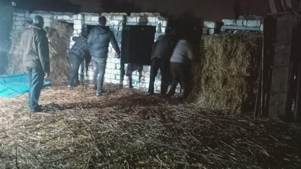 إزالة تعديات بكفر