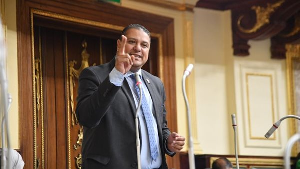  النائب محمد إسماعيل