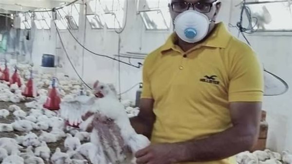 التعليم الفنى