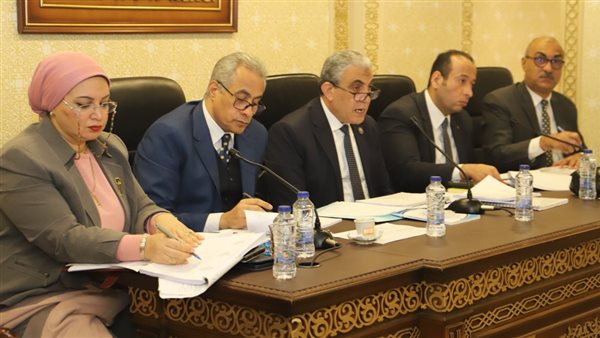 حسن شحاتة وزير القوى