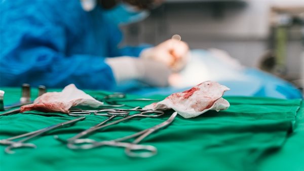 صورة ارشيفية