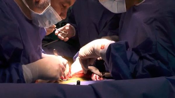 صورة ارشيفية