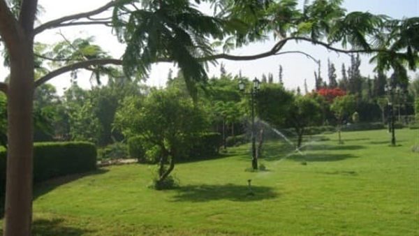 صورة من الحدث 