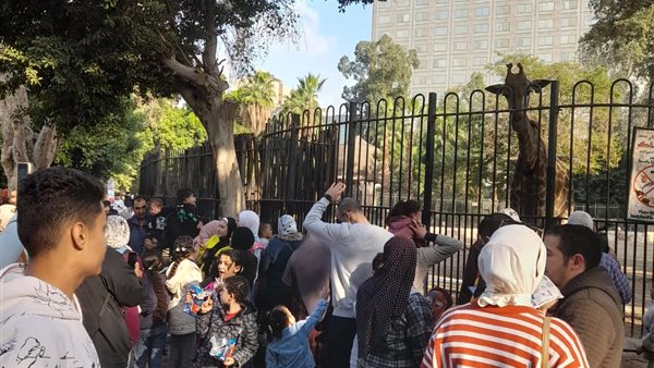 صورة من الحدث 