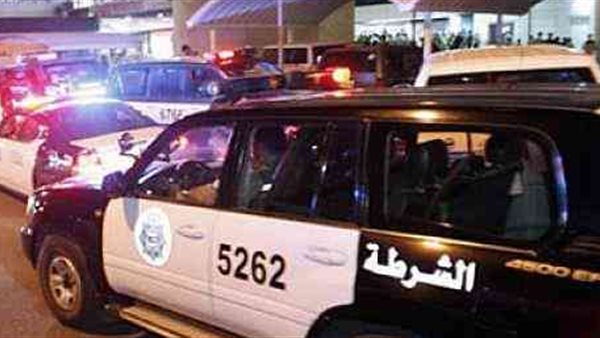 صورة ارشيفيه