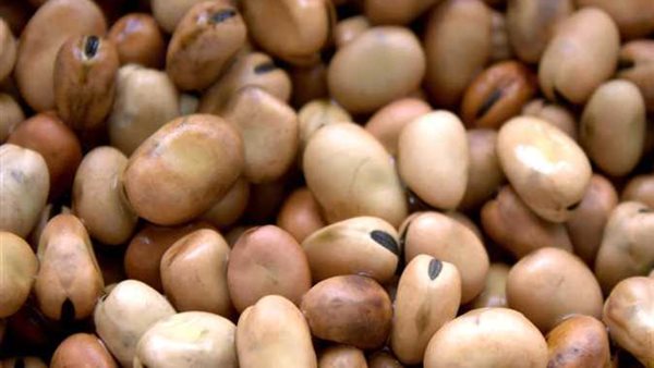 صورة  ارشيفية