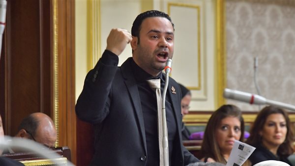 النائب محمود بدر