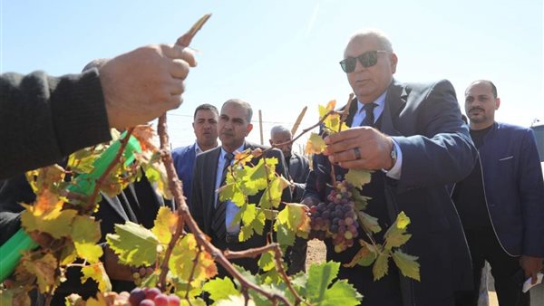 جانب من  اللقاء