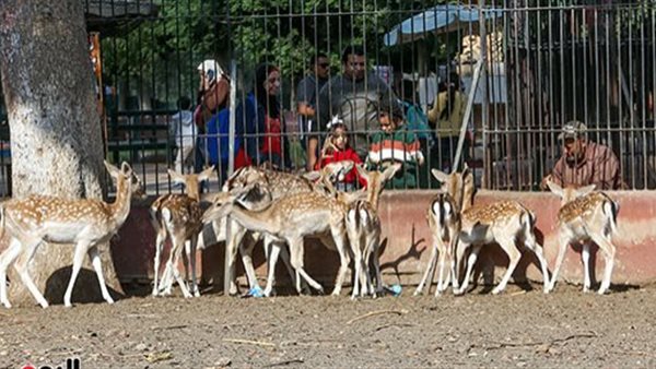 صورة  ارشيفية