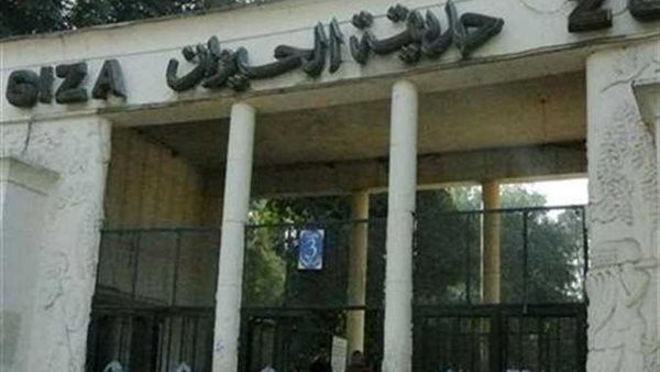 صورة  ارشيفية