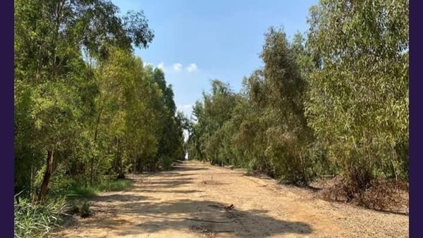 صورة  ارشيفية