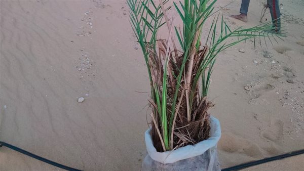 جانب من  اللقاء