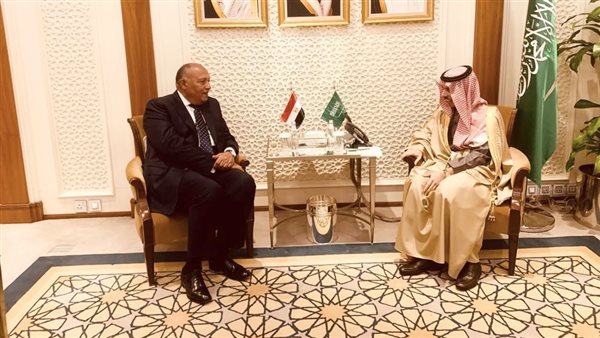 سامح شكري وزير الخارجية