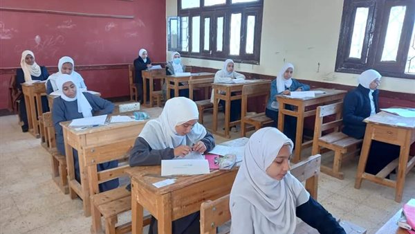 الوادي الجديد