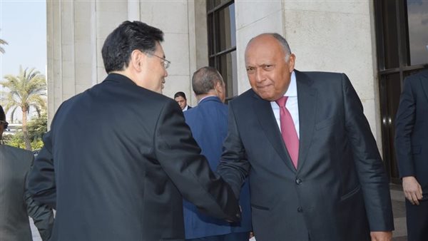 سامح شكري يصافح نظيره