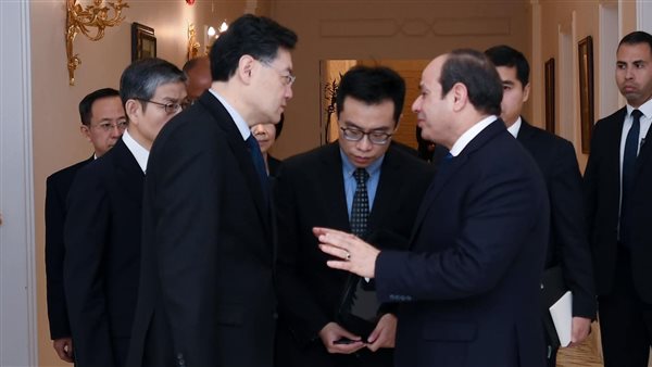 الرئيس السيسي يلتقي