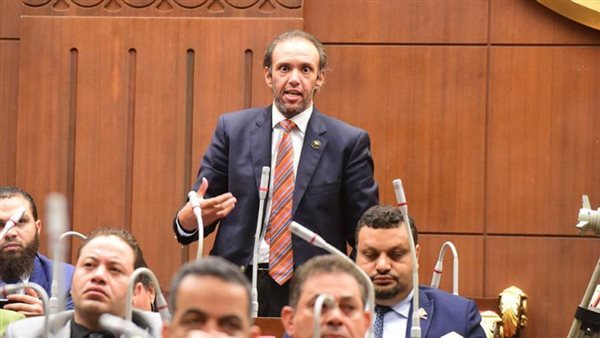 النائب محمد فريد