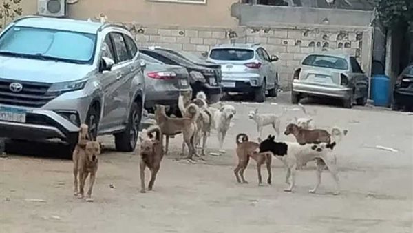 صورة  ارشيفية