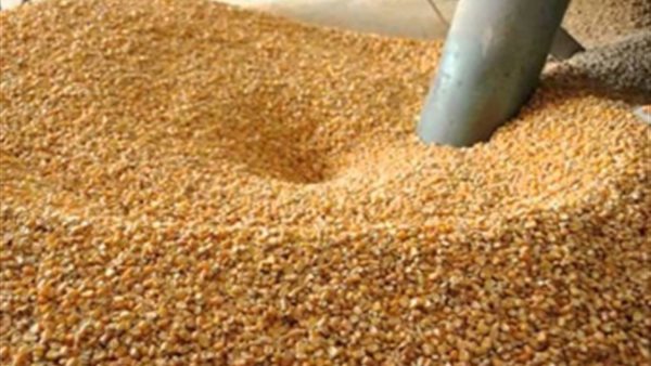 صورة  ارشيفية