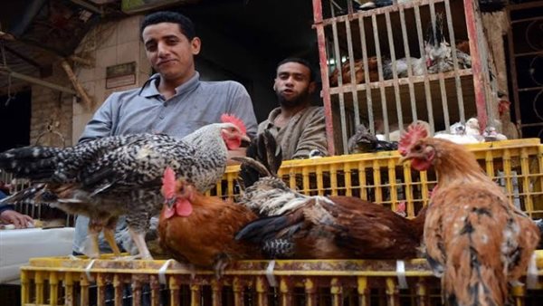 صورة  ارشيفية