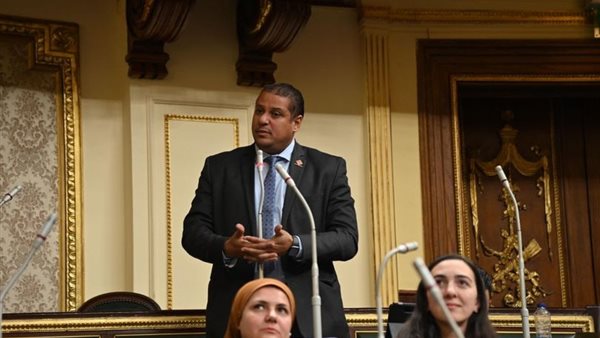  النائب محمد إسماعيل