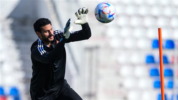 محمد الشناوي