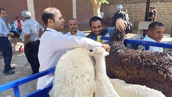 صورة  ارشيفية