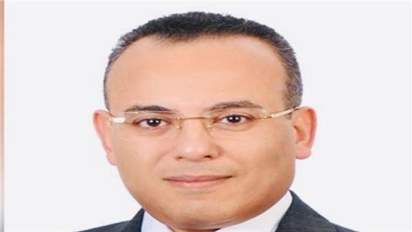 المستشار أحمد فهمي