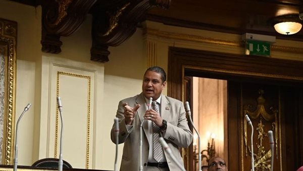 النائب محمد إسماعيل