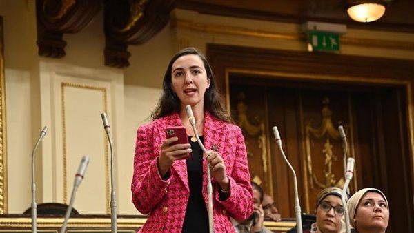 النائبة هادية حسنى