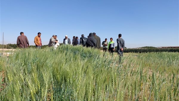 مديرية الزراعة بمحافظة