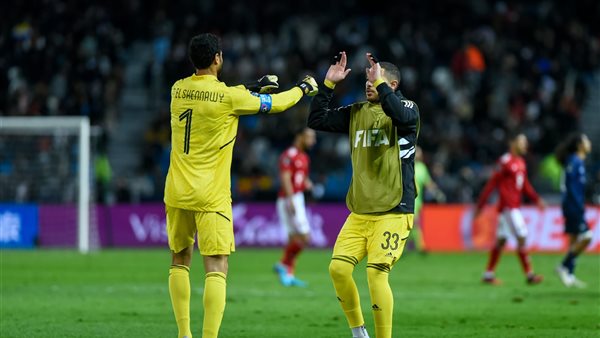 محمد الشناوي