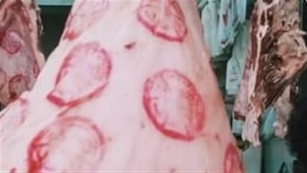 صورة  ارشيفية