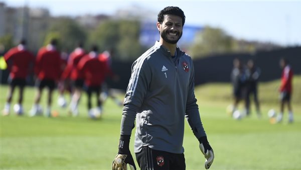 محمد الشناوي