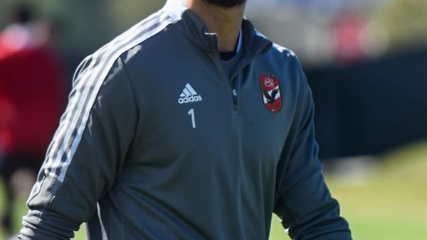 محمد الشناوي 