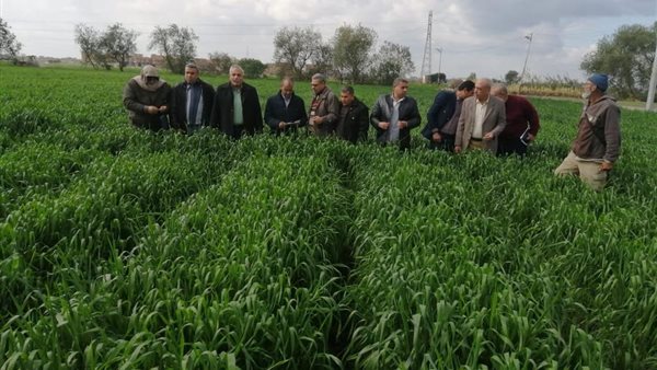 جانب من  اللقاء