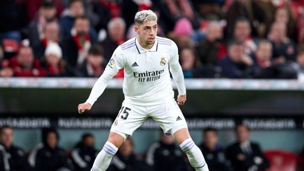 فيدي فالفيردي