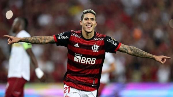 بيدرو جيليرمي