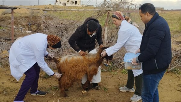 صورة من الحدث