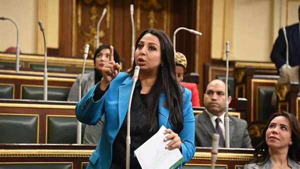 النائبة نشوى الشريف