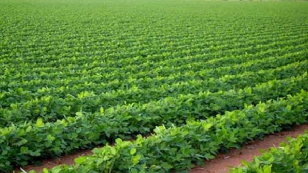 صورة  ارشيفية