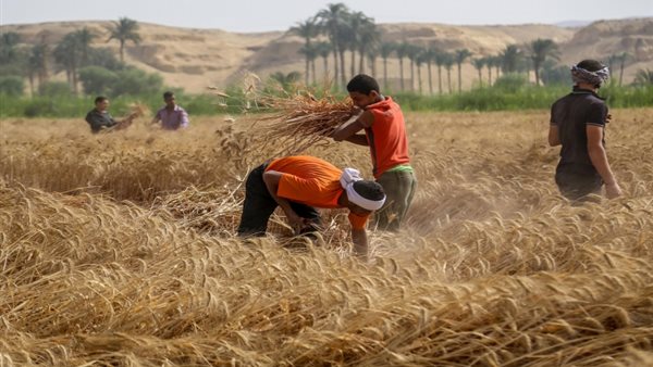 صورة  ارشيفية