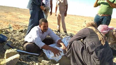 إكتشاف سلحفاة نهرية عمرها 70 مليون سنة في الصحراء الغربية.. علماء جامعتي القاهرة والوادي الجديد يكشفون تفاصيل مثيرة