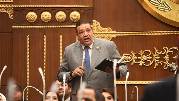 النائب محمد عزمي