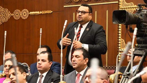 النائب أحمد القناوي